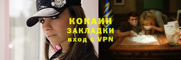 шишки Покров