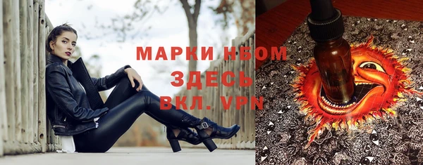 шишки Покров